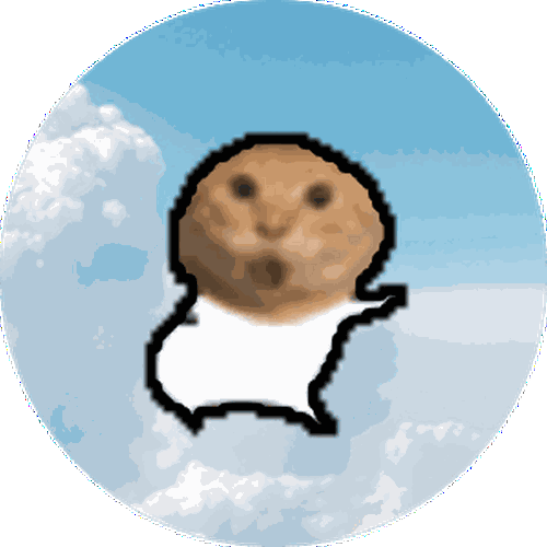 meme funny_mirror